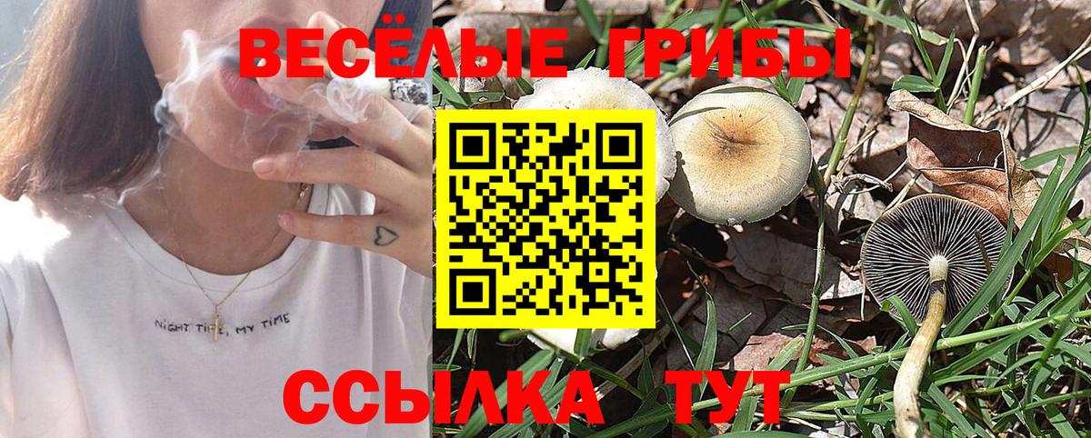 Галлюциногенные грибы Magic Shrooms Солнечногорск