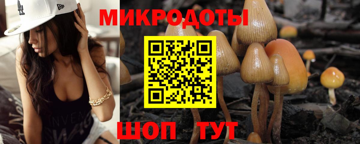 Солнечногорск  Псилоцибиновые грибы ЛСД  наркота  Галлюциногенные грибы GOLDEN TEACHER  Вход с VPN 